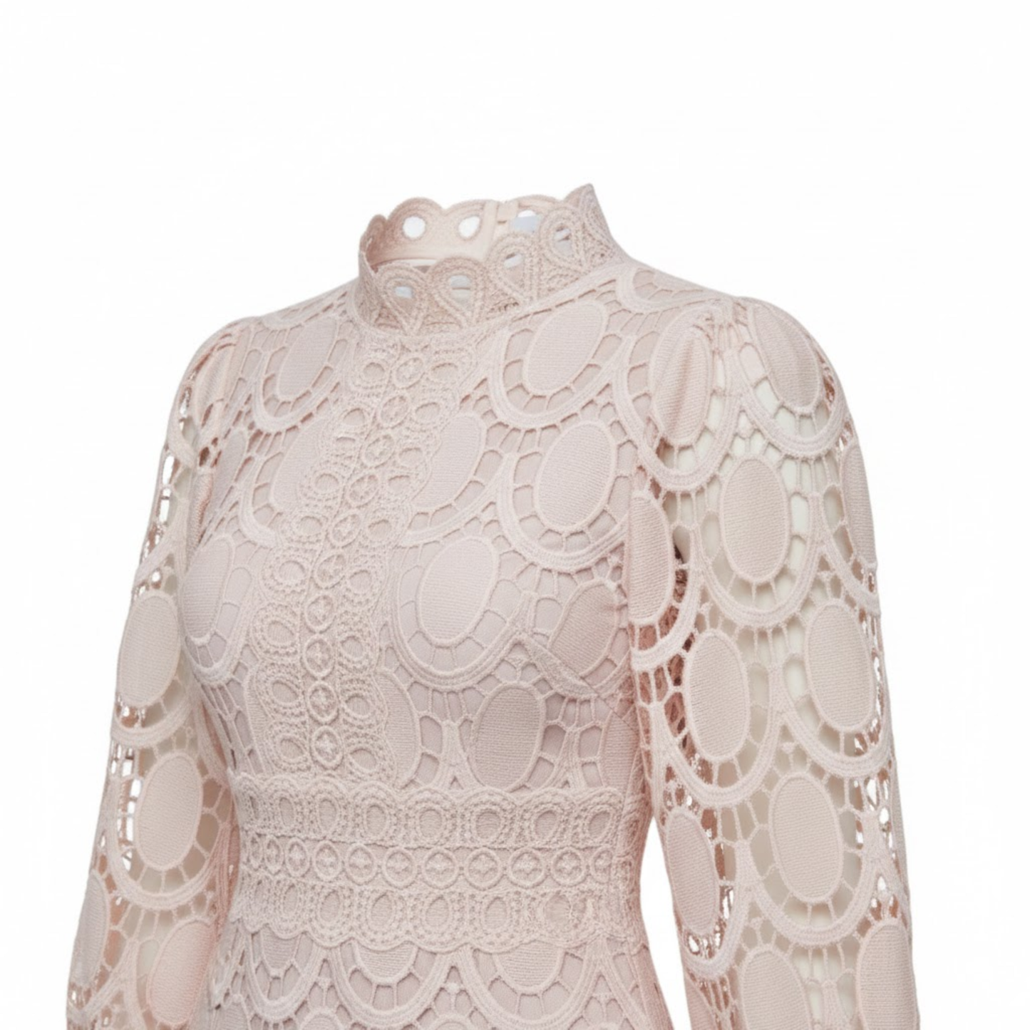 Long Lace Dress with Puff Sleeves and High Collar